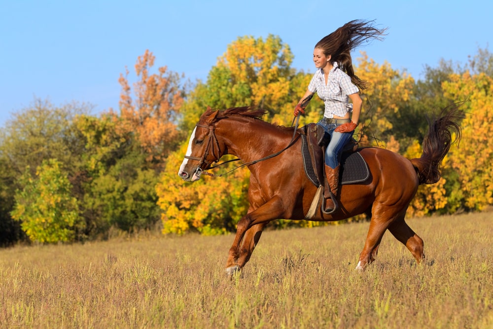 Beautiful girl riding a horse in countryside