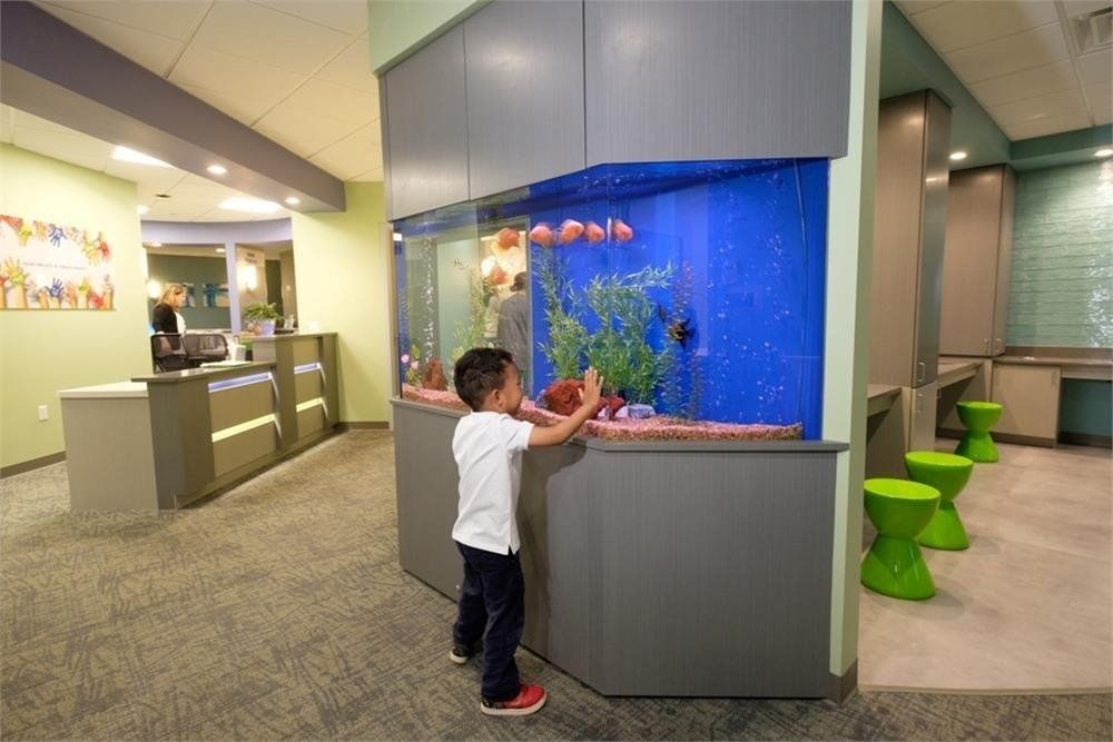 Kid playing with fishes in aquarium
