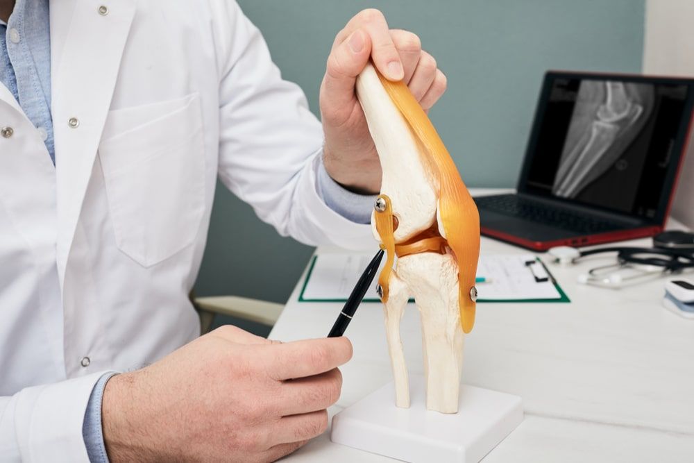 Orthopedist showing to cruciate ligament in a knee-joint medical teaching model