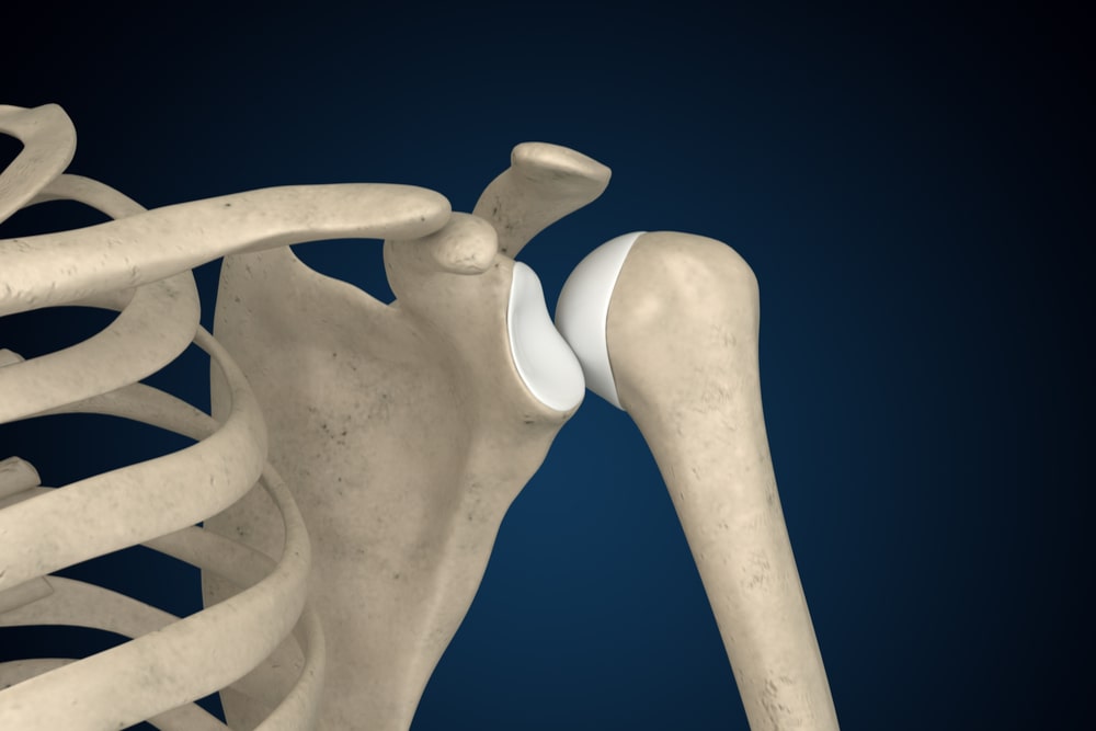 Shoulder Posterior Dislocation 3D Rendering, Shoulder Anatomy