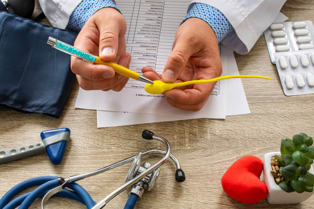 Doctor during consultation held in his hand and shows patient anatomical model of male sperm