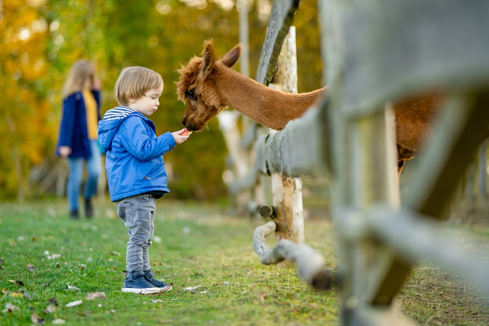 Visiting Zoos and Aquariums: Educational Adventures