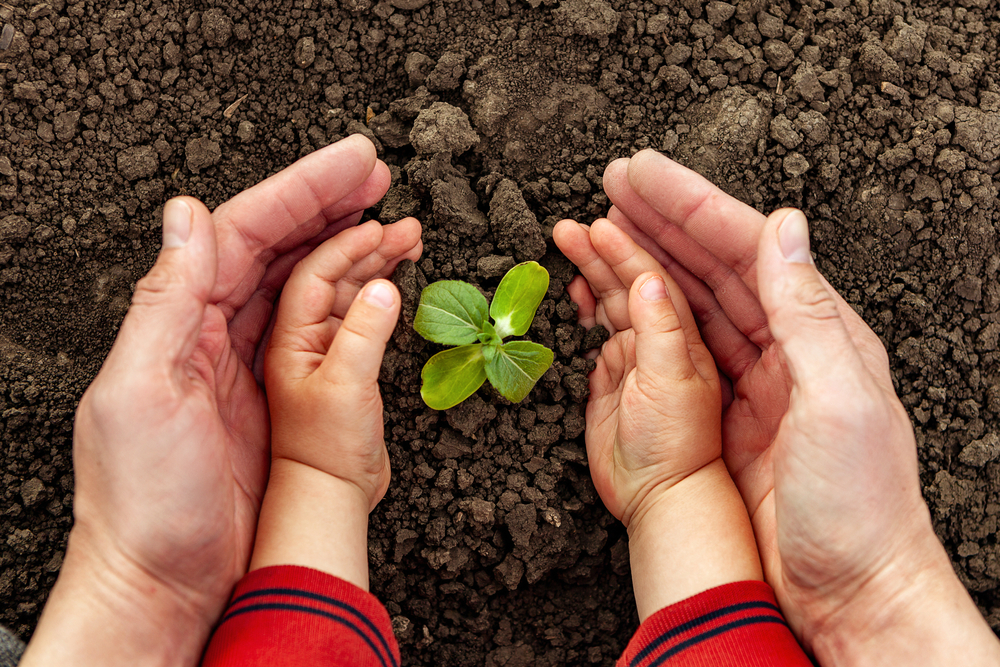 Family-Friendly Gardening Projects for Kids