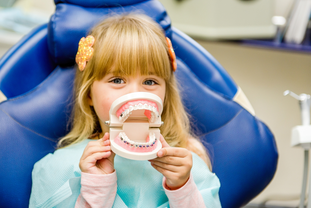 A Small Child Plays With Artificial Jaws. Children's Dentistry. Dental