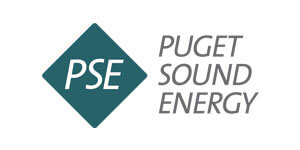 PSE logo