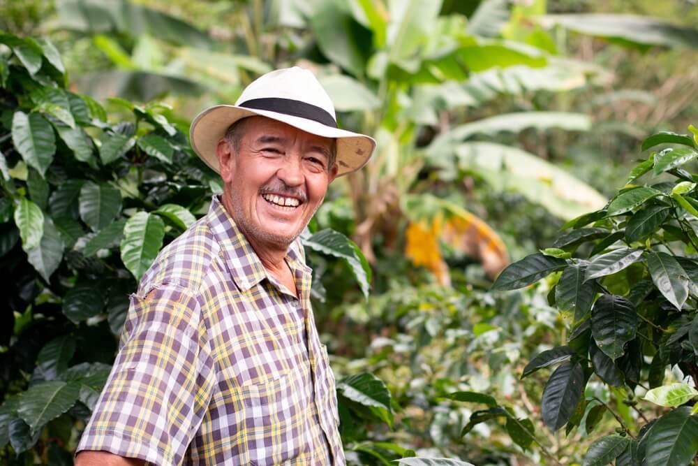 Smiling senior farmer. Coffee farmer wearing hat
