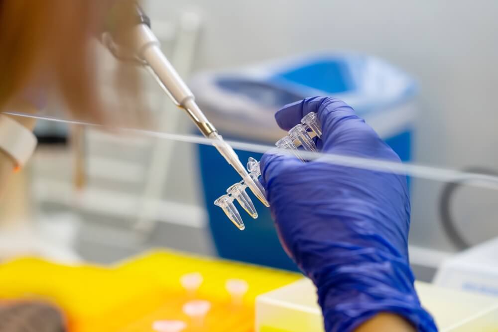 Scientist pipetting sample into vial for DNA testing.