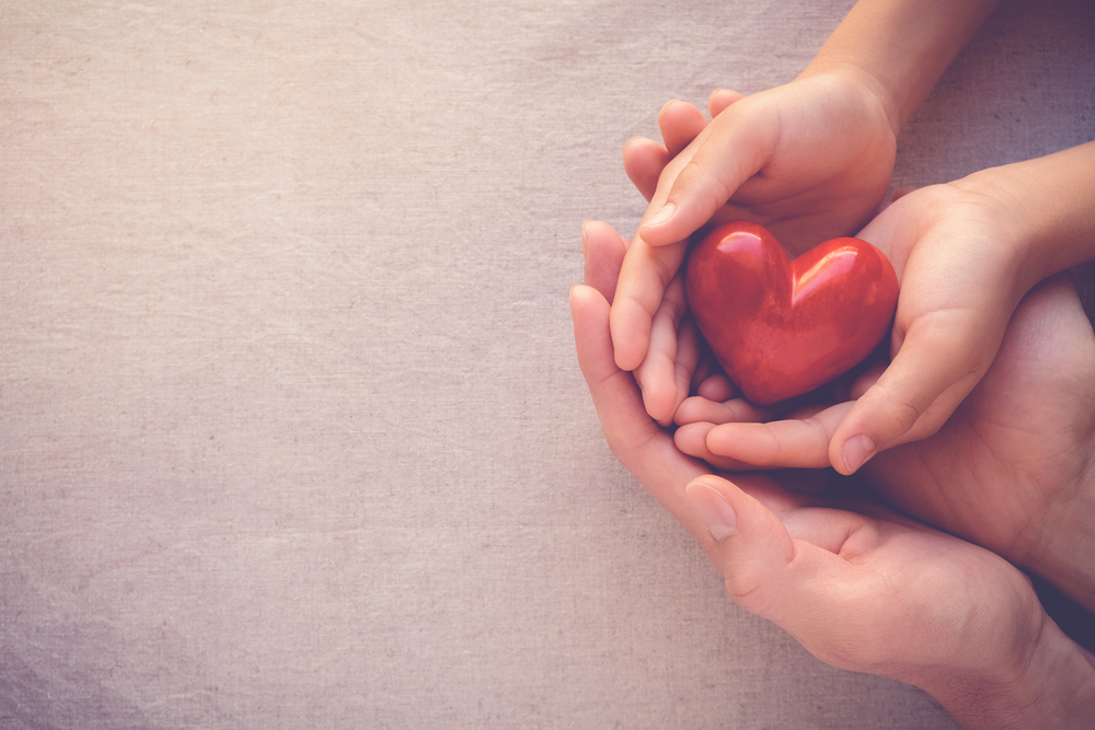 Adult And Child Hands Holding Red Heart health Care Donate And