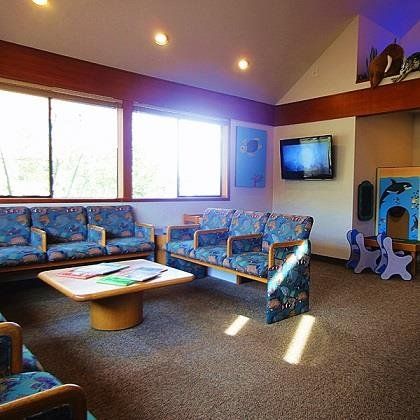 Alderwood children's dentistry - Waiting area