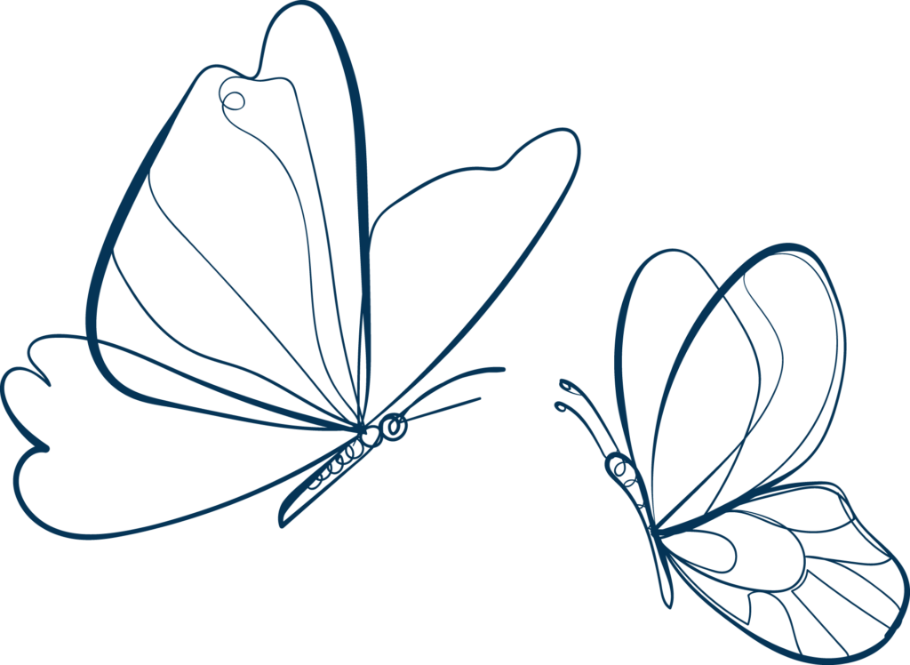 Two butterflies