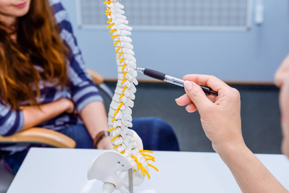 Closeup medical doctor woman pointing on spine model a