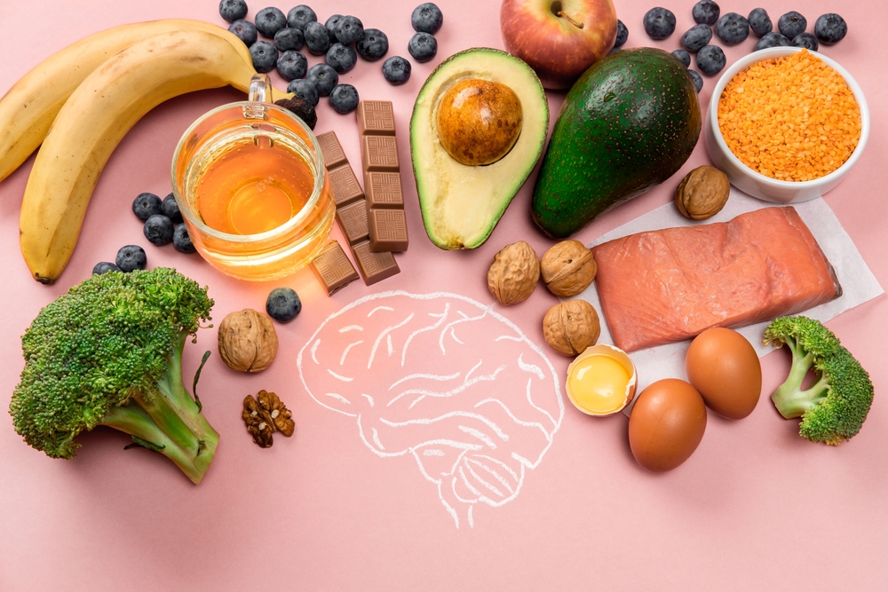 Gut Health and the Brain The Connection Explained