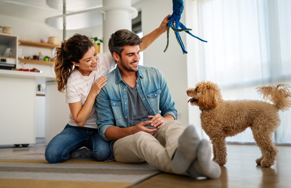 Happy couple playing with dog, having fun on floor at home