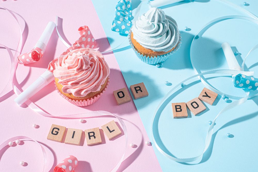 gender party. boy or girl. two cupcakes with blue and pink cream