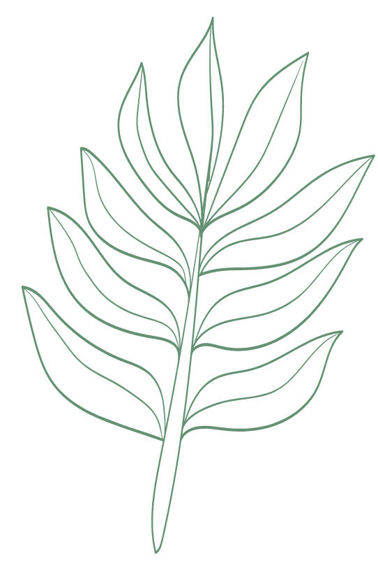 Tropical Leaf Line