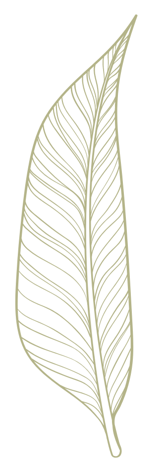Tropical Leaf Line