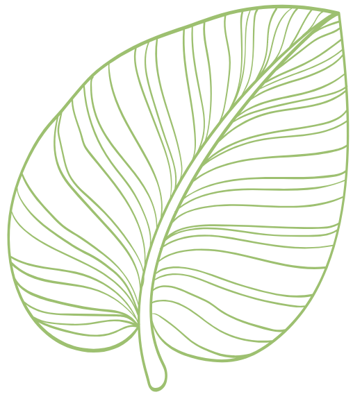 Tropical Leaf Line