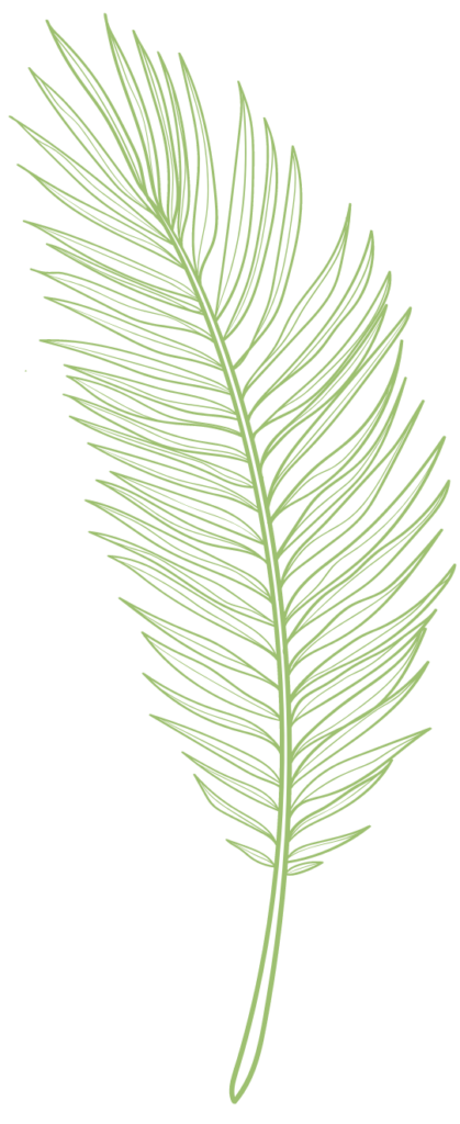 Tropical Leaf Line