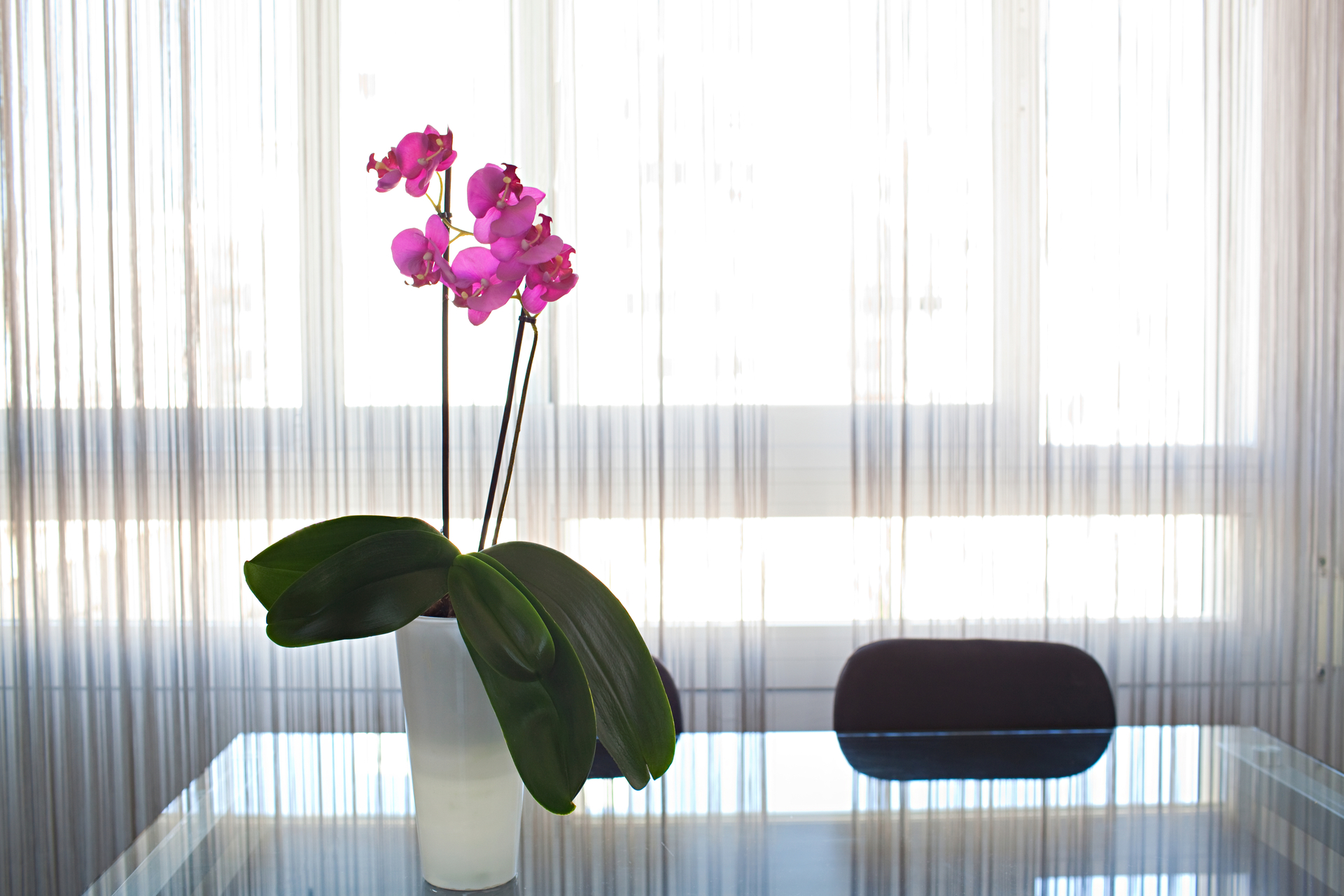 Still life view of a family home living room