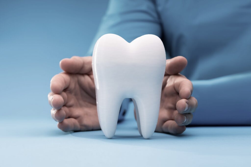 Dentist hands with healthy white tooth model