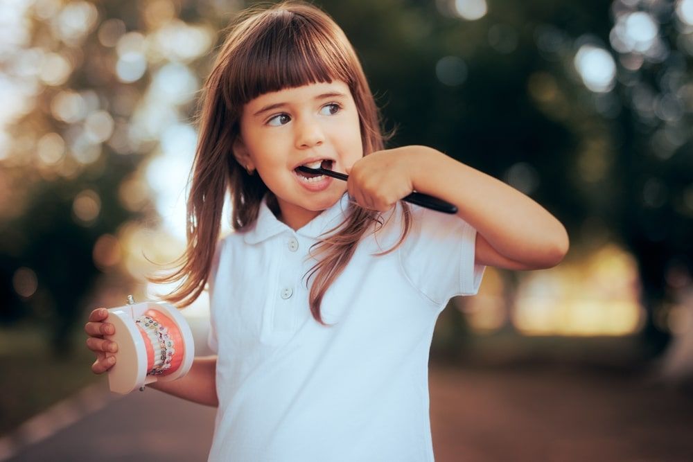 Toddler Girl Brushing Teeth Holding Dental Orthodontic Model