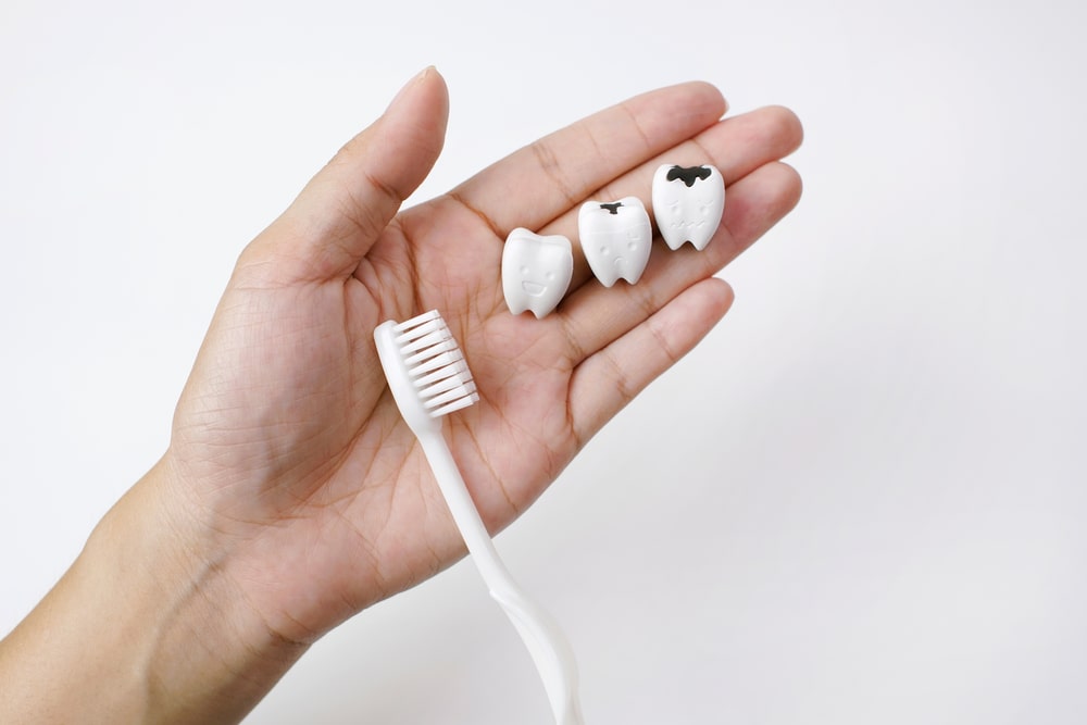 Healthy Tooth and Cavity and Decayed Tooth on Hand with Toothbrush