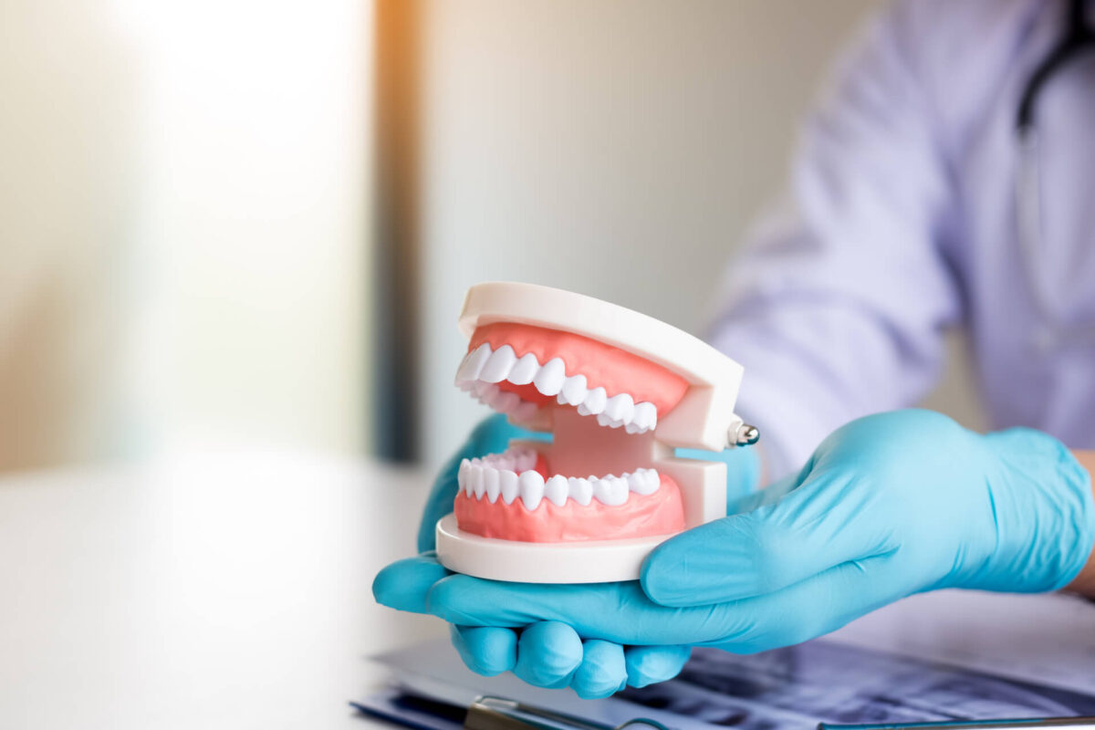 Dentist holding dentures in office room.