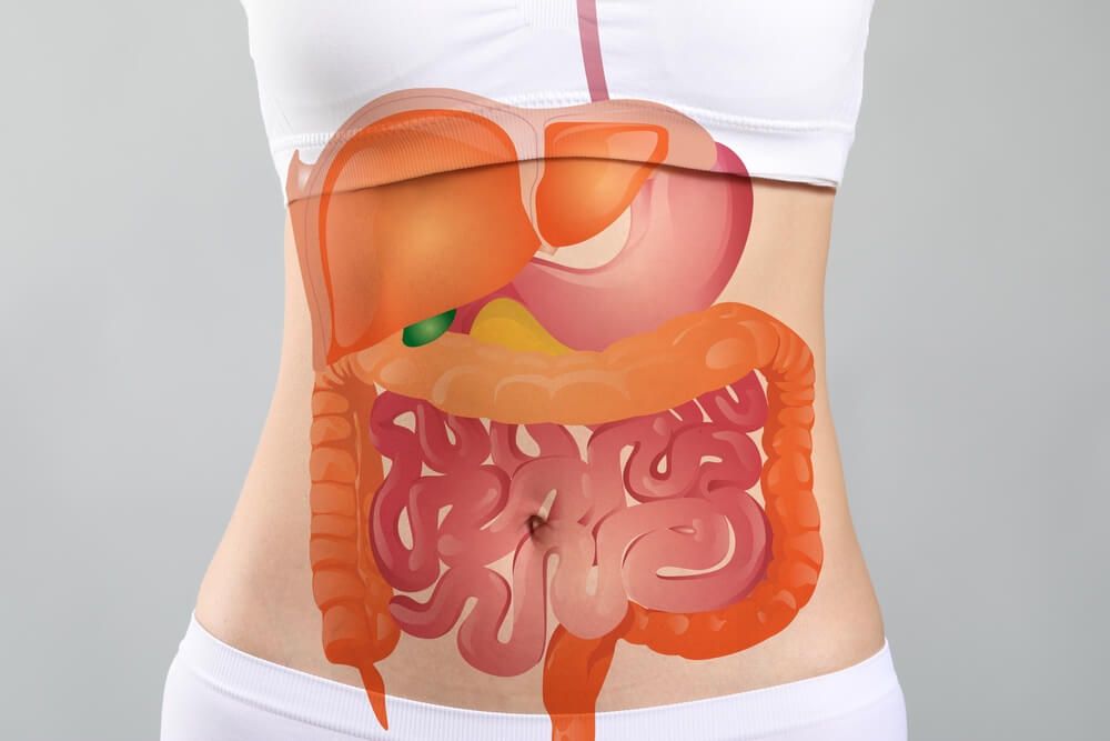 Woman with drawn digestive system