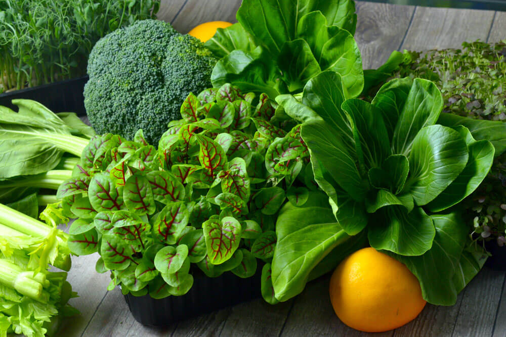 Broccoli, Cos Lettuce and Baby Spinach Leaves in arrangement.