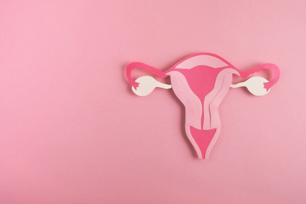 Decorative model uterus made from paper