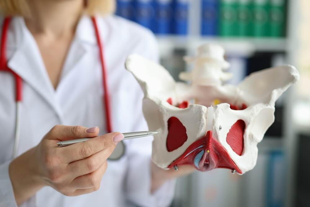 Doctor traumatologist demonstrating bones of pelvis to students in clinic