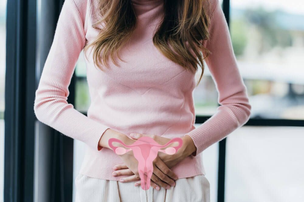 Woman hands touching virtual uterus, female reproductive system