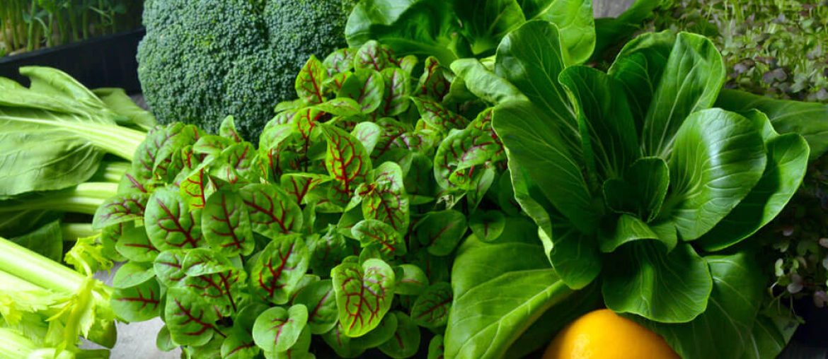 Broccoli, Cos Lettuce and Baby Spinach Leaves in arrangement.