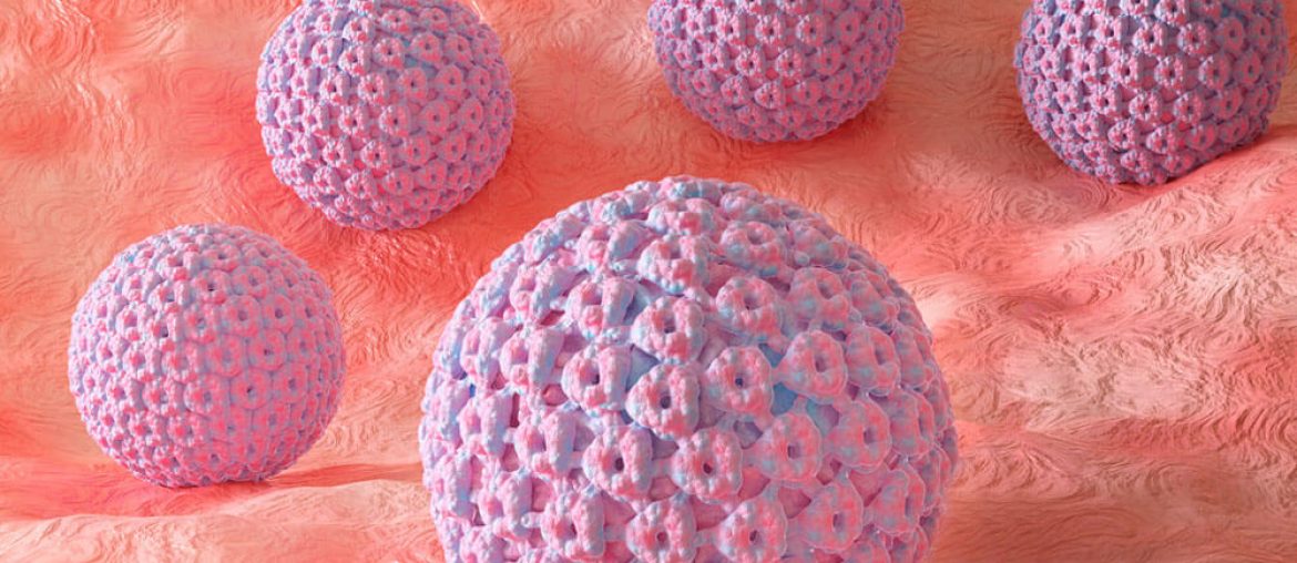 human papillomavirus or HPV