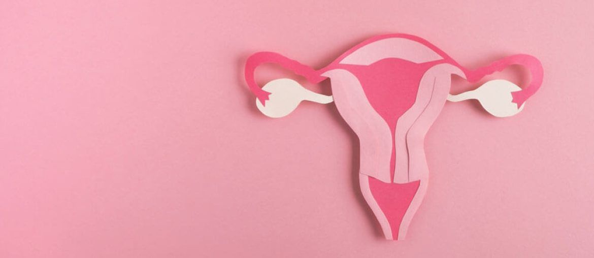 Decorative model uterus made from paper