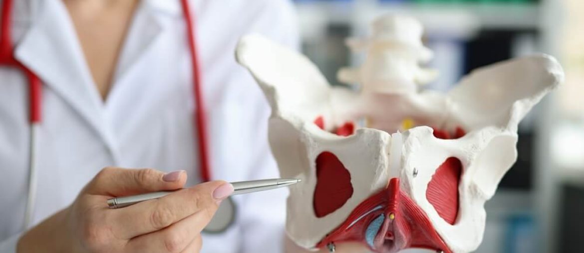 Doctor traumatologist demonstrating bones of pelvis to students in clinic