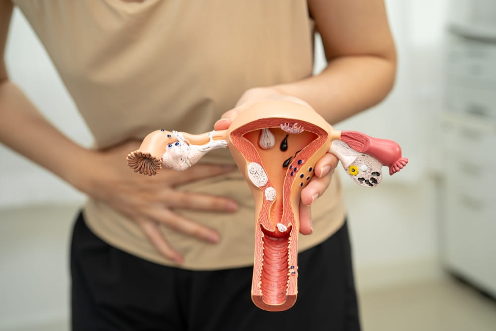 Uterus, Asian, woman holding human anatomy model.