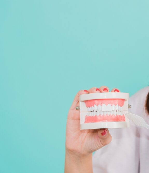 Young woman teen smiling showing demonstration on fake jaw