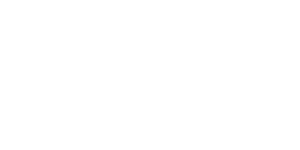 Our Lady of the Angels logo white