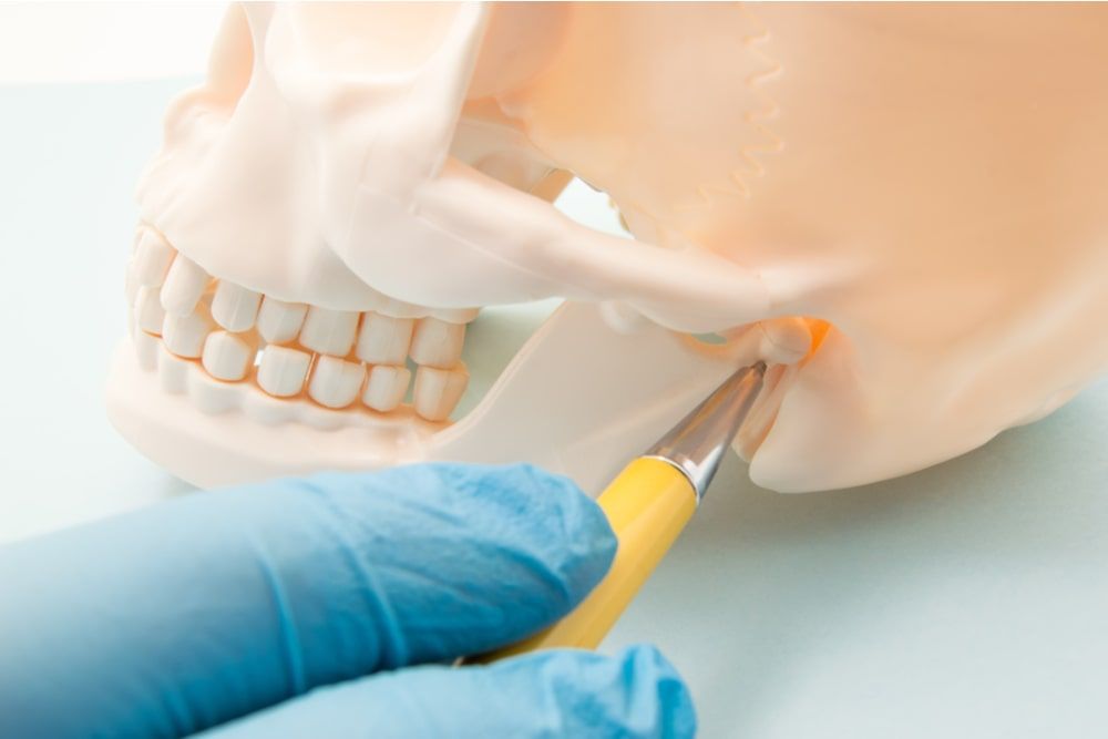 The dentist indicates on the mandibular joint