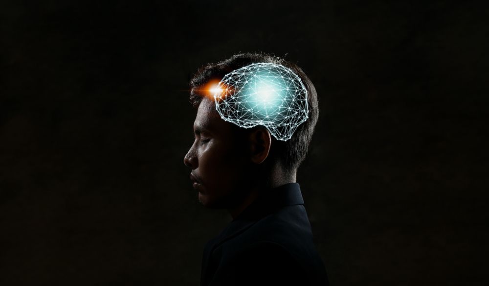 Human head and brain