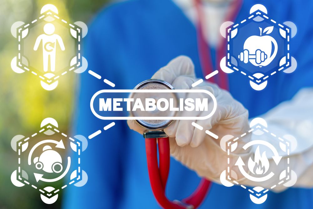 Metabolism Symbiosis Medical Concept.