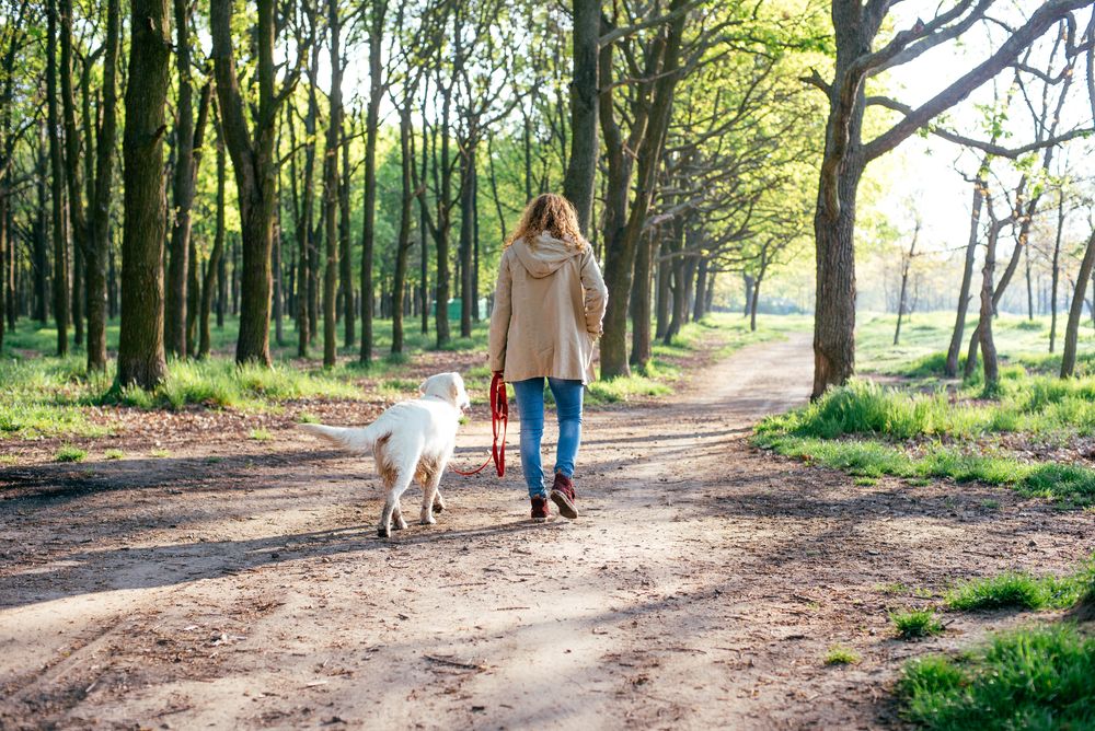 Girl walking dog in park