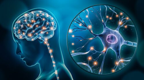 Peripheral Nerve Stimulation-Ft