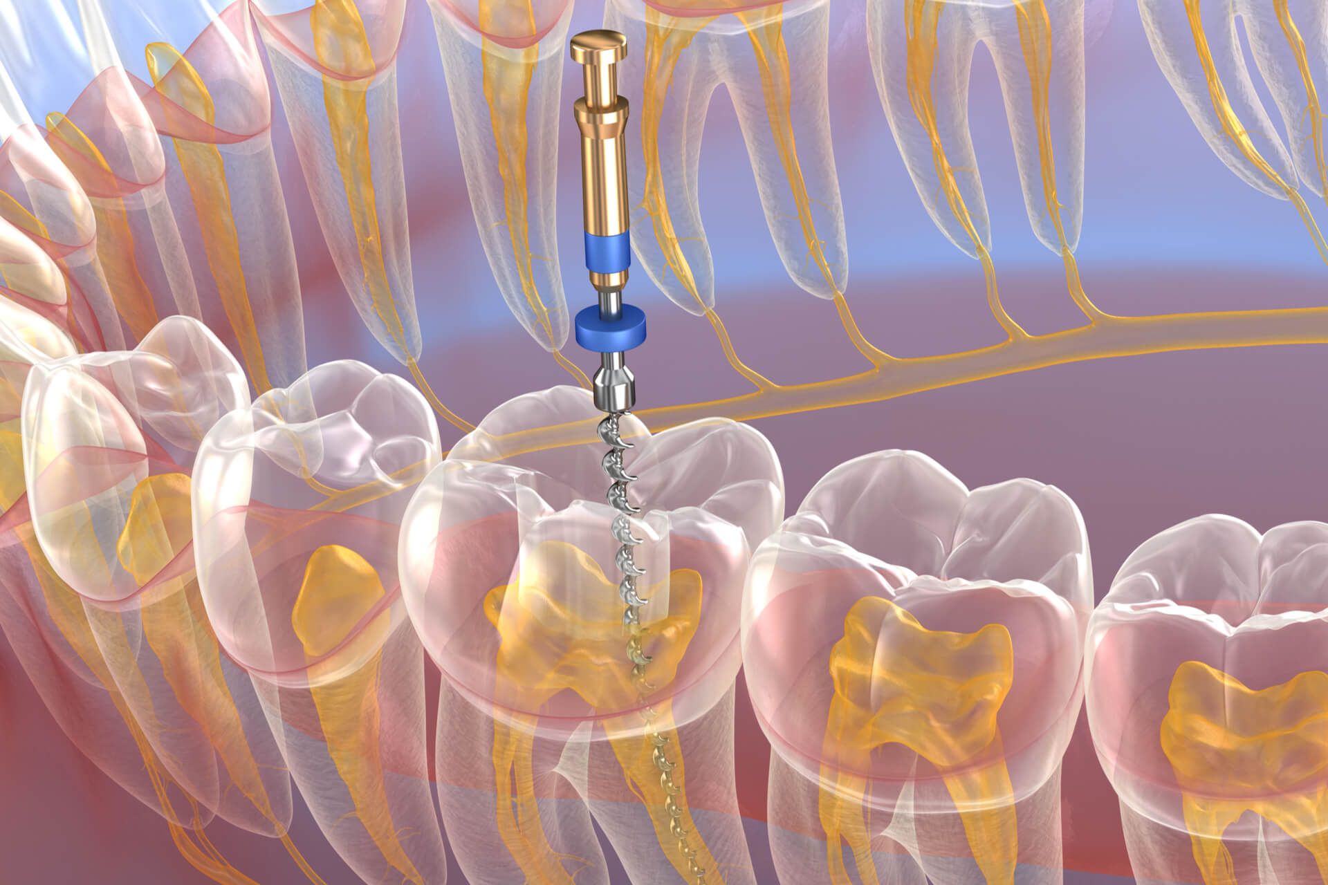 Medically accurate tooth 3D illustration.