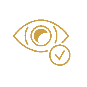 Eye with tick sign icon