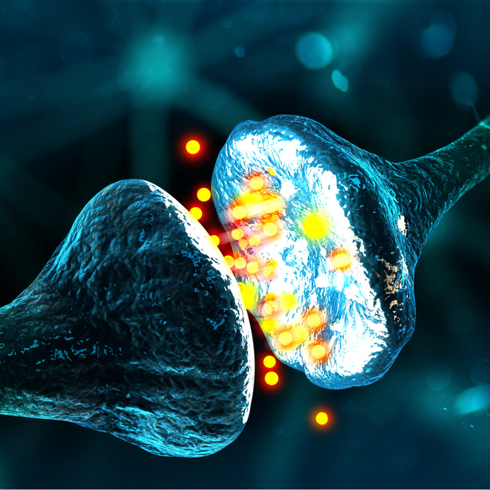 Synapse and Neuron cells sending electrical chemical signals (3D illustration)