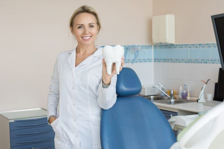 Beautiful female dentist holding tooth model