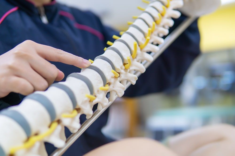 Physical therapist Supports the lateral spine model
