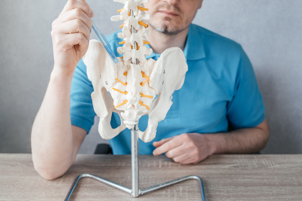 doctor's hand pointing at the skeleton spine